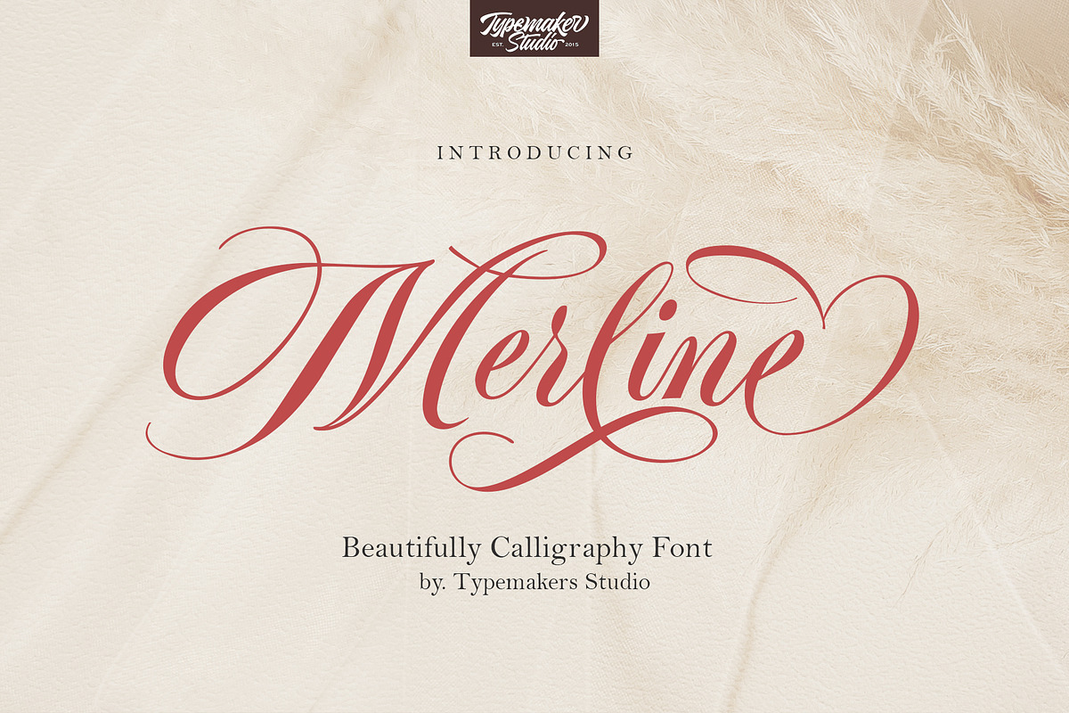 Merline Script, a Script Font by TypeMakers (Photo 12 of 12)