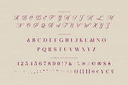 Noxivane — Stylish Serif Script, a Serif Font by Almeera Std (Thumbnail 9 of 10)