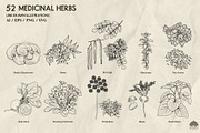Medicinal Herbs part 2 + Procreate, a Healthcare Illustration by Skliarova (Thumbnail 6 of 6)