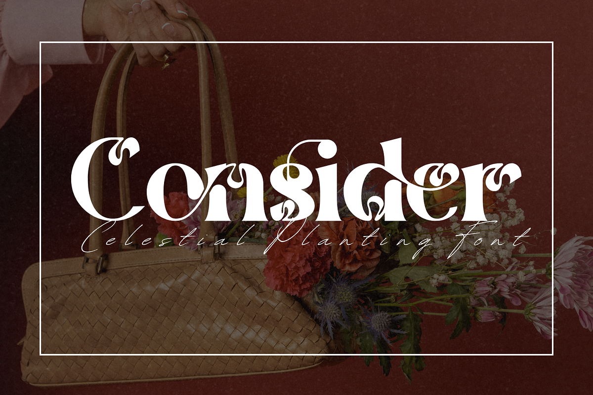 Celestial Planting - Modern Serif, a Serif Font by 177Studio (Photo 2 of 8)