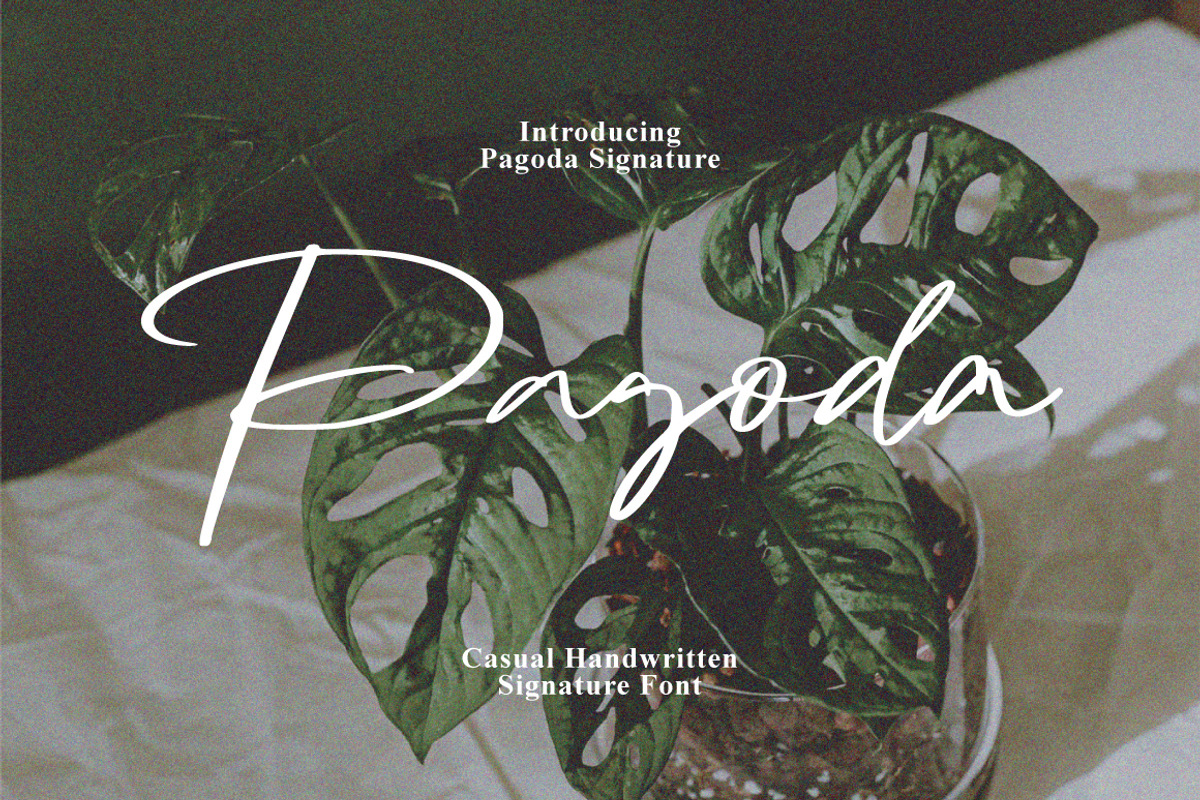 Pagoda - Casual Handwritten, a Handwritten Font by tebaltipislab (Photo 1 of 9)