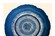 Natt Collection · Organic Tree Rings, a Texture Illustration by milatovar (Thumbnail 13 of 19)