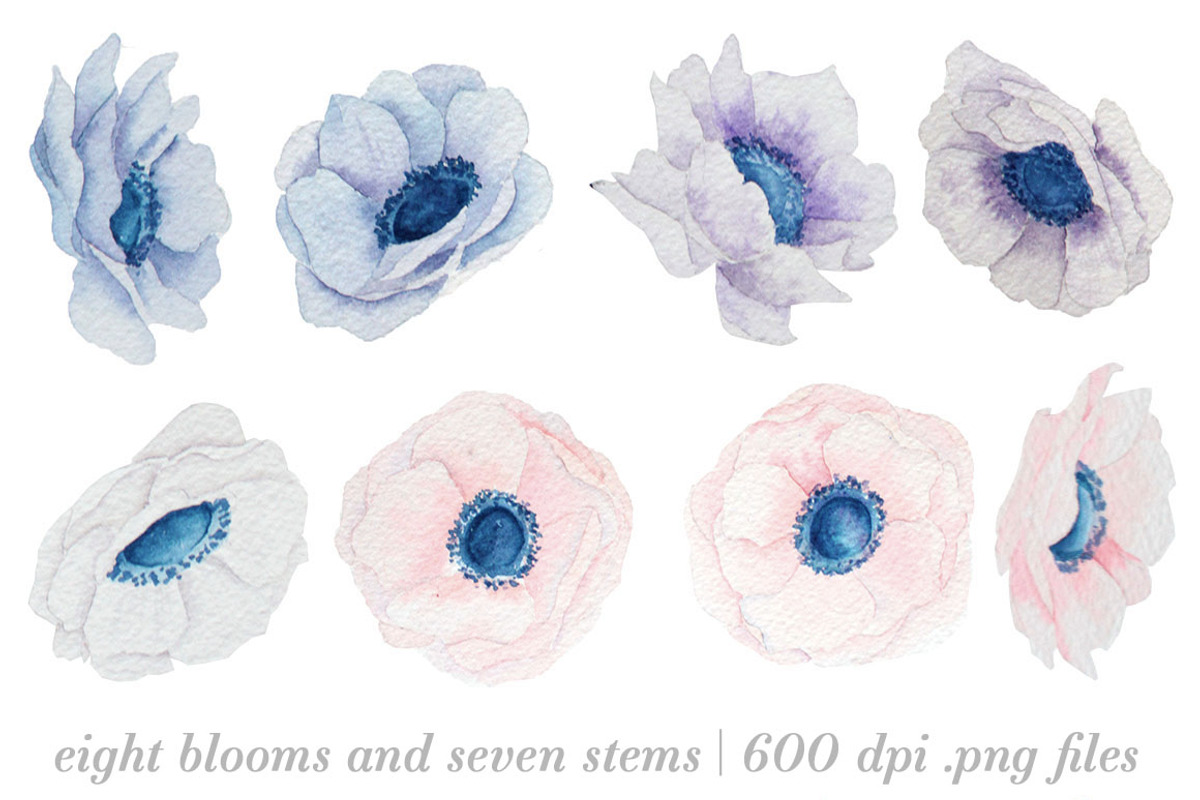 Watercolor Anemones, an Illustration by Instinct Design Co (Photo 2 of 3)