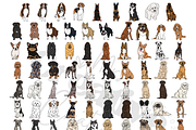 Dog Breeds Clipart Bundle, a Graphic by Mrs. Creative Creations (Thumbnail 1 of 8)