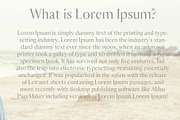 Aadam A Modern Serif Font Family, a Serif Font by Creativetacos (Thumbnail 6 of 6)