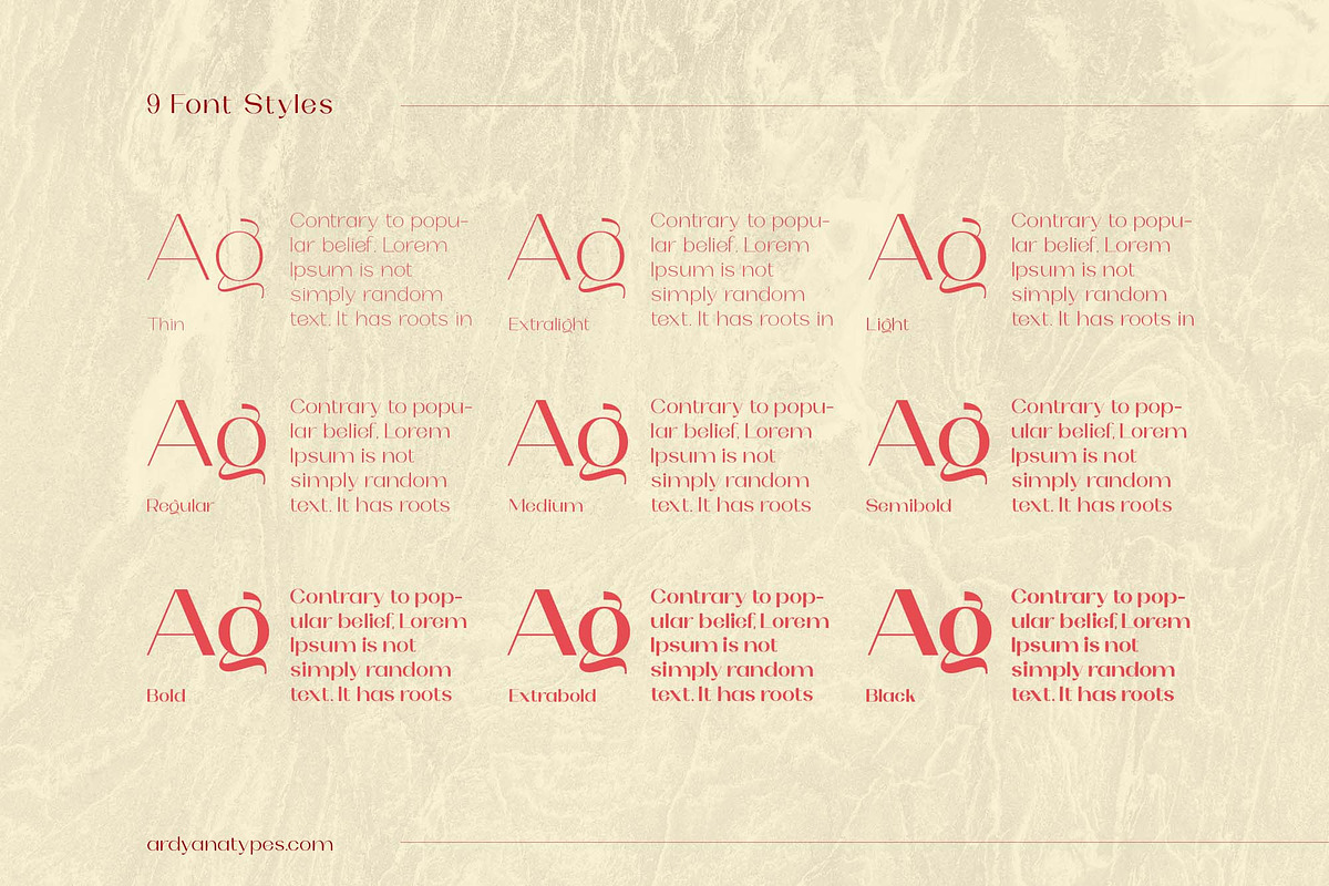 Olarwe - Modern Sans Serif, a Sans Serif Font by Ardyanatypes (Photo 10 of 12)