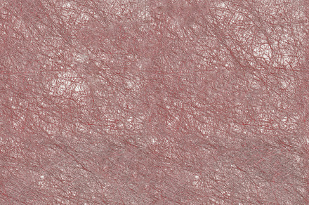 Seamless red vintage silkworm paper scrapbook decoration background. Decorative, a Photo by Textures & Backgrounds