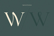 Letterature ligature serif font, a Serif Font by kaer_shop (Thumbnail 12 of 12)