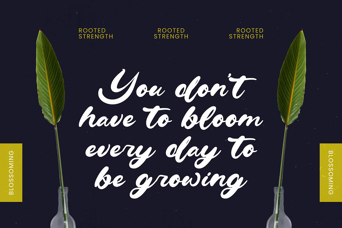 Drink South Bold Calligraphy Font, a Script Font by Letterena Studios Script (Photo 12 of 20)