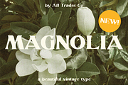 Magnolia | 1800's Inspired Type, a Font by Blue River Studio (Thumbnail 1 of 10)