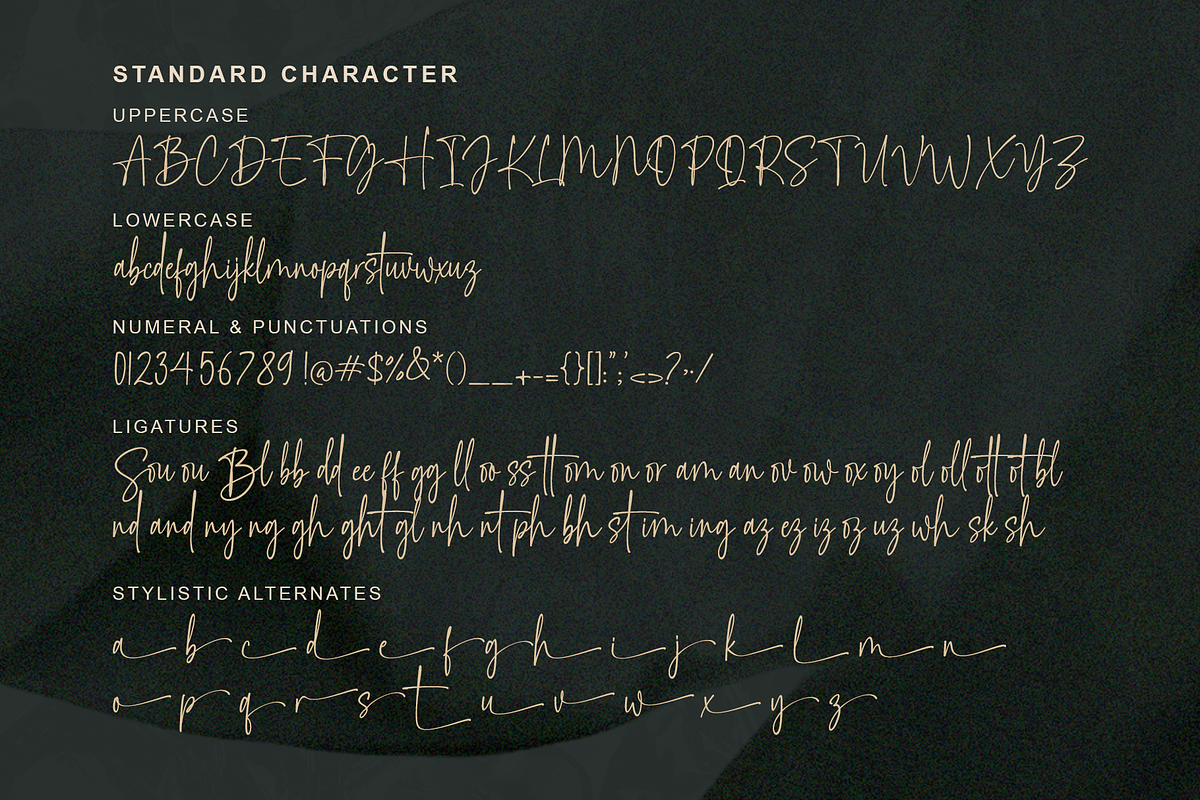 Southelia - Handwritten Script, a Handwritten Font by MJB Letters (Photo 10 of 10)