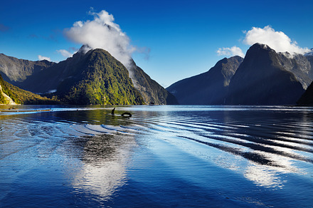 Milford sound new zealand containing bay, beautiful, and blue, a Nature Photo by Shop Name