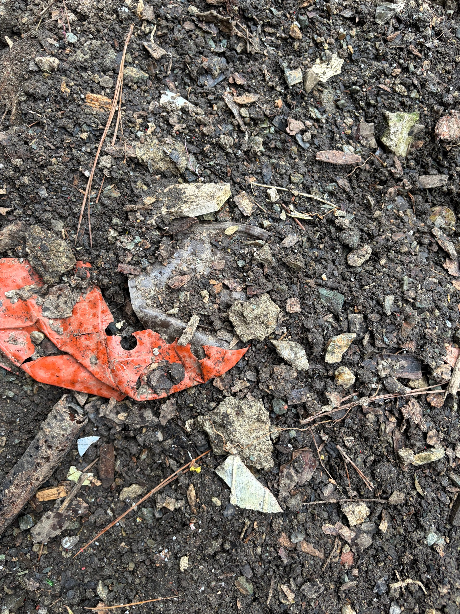 Nature Dirt, a Nature Photo by Color FFF