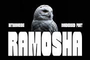 Ramosha Bold Condensed Font, a Sans Serif Font by Heinzel Std (Thumbnail 1 of 12)