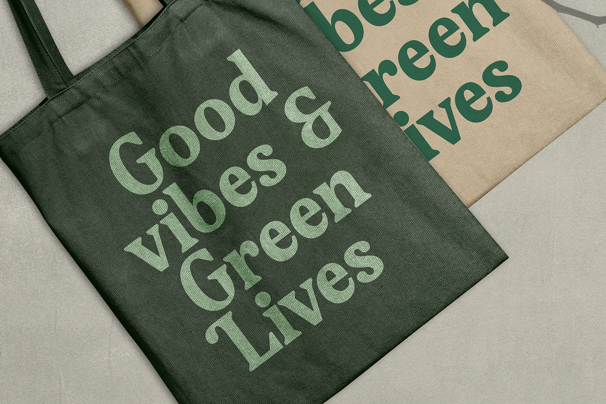 Gafjust Minfine Modern Serif, a Serif Font by timelesstype.co (Photo 13 of 20)