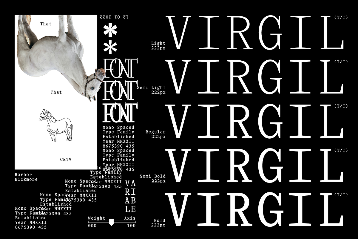 Virgil Monospaced Font, a Serif Font by That That Creative (Photo 2 of 8)