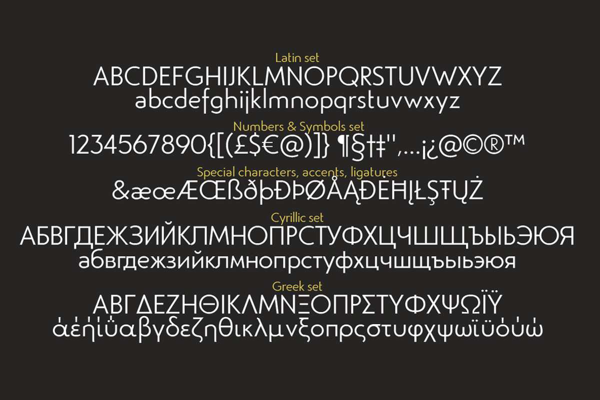 Studio Gothic - 24 fonts, a Sans Serif Font by Zetafonts (Photo 9 of 9)