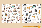 Cartoon cats clipart set, an Animal Illustration by pet design shop (Thumbnail 9 of 12)