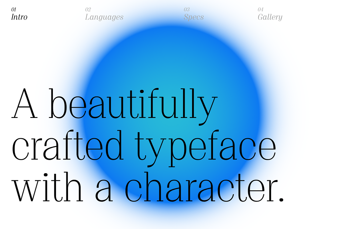 Proto Serif Font Family, a Serif Font by Bukva™ Type Foundry (Photo 2 of 16)