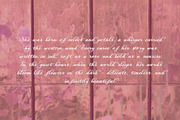 Velvet Fleur - Elegant Script Font, a Script Font by Mneme (Thumbnail 4 of 11)