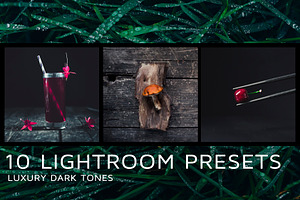 10 Dark tones presets for Lightroom