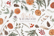 Watercolor Clipart - Winter Wildwood, a Decorative Illustration by Beigetime (Thumbnail 1 of 16)
