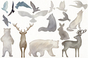 Watercolor forest., an Animal Illustration by TaPilipa (Thumbnail 2 of 10)