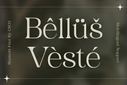 Harnold, a Serif Font by Craft Supply Co. (Thumbnail 7 of 8)