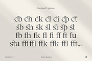 Maister//Display Serif, a Serif Font by Dora Typefoundry (Thumbnail 8 of 20)