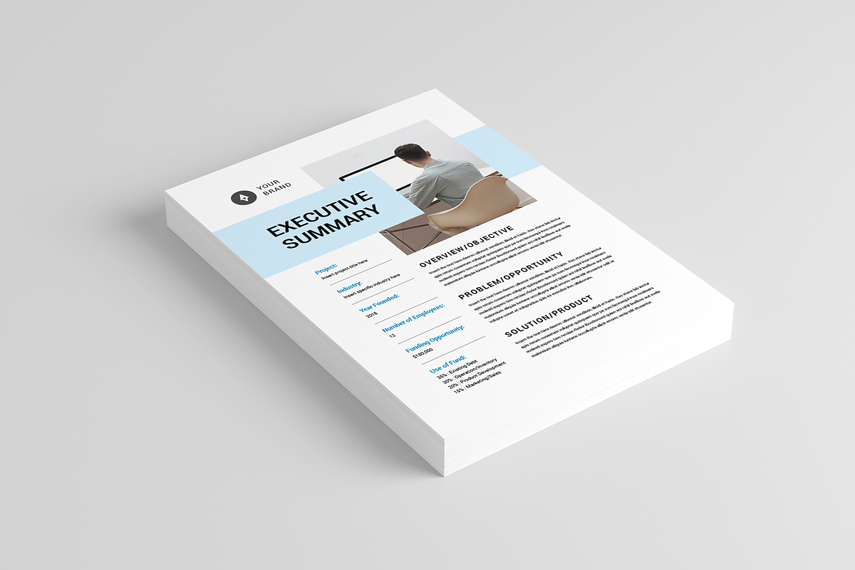 Executive Summary | MS Word & Indd, a Stationery Template by Leaflove