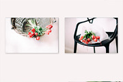 Tulips stock photo series, a Nature Photo by Nellaino (Thumbnail 1 of 6)