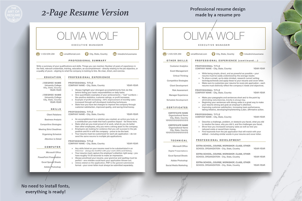 Free Resume CV Template | Professional Executive Resume preview 4
