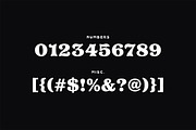 Quasar Typeface, a Serif Font by Tugcu Design Co. (Thumbnail 3 of 3)