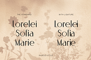 Omaira - Sleek Modern Sans Display, a Sans Serif Font by Cloverons (Thumbnail 3 of 14)