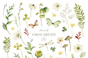 Watercolor set of Forest Greenery, an Illustration by Elena Medvedeva (Thumbnail 2 of 15)