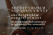 Ranig Modern Serif Font, a Serif Font by Perfectype (Thumbnail 8 of 8)