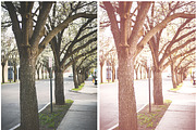 Lightroom Presets Spring In The Air, an Action Add-On by HappyNews (Thumbnail 9 of 11)