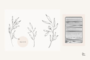 150 Illustrator Brush Bundle, a Brush Add-On by Jenteva Art (Thumbnail 5 of 19)