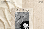 30 Beige Parchment Paper Textures, a Texture Graphic by DreamoraArt (Thumbnail 12 of 14)