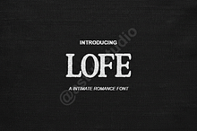 Lofe | Modern Luxury Serif Typeface