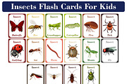 Insects Flash Cards for Kids, a Card Template by DigitalsDesigns (Thumbnail 1 of 5)