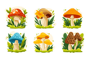 Cozy Mushroom Vector Set