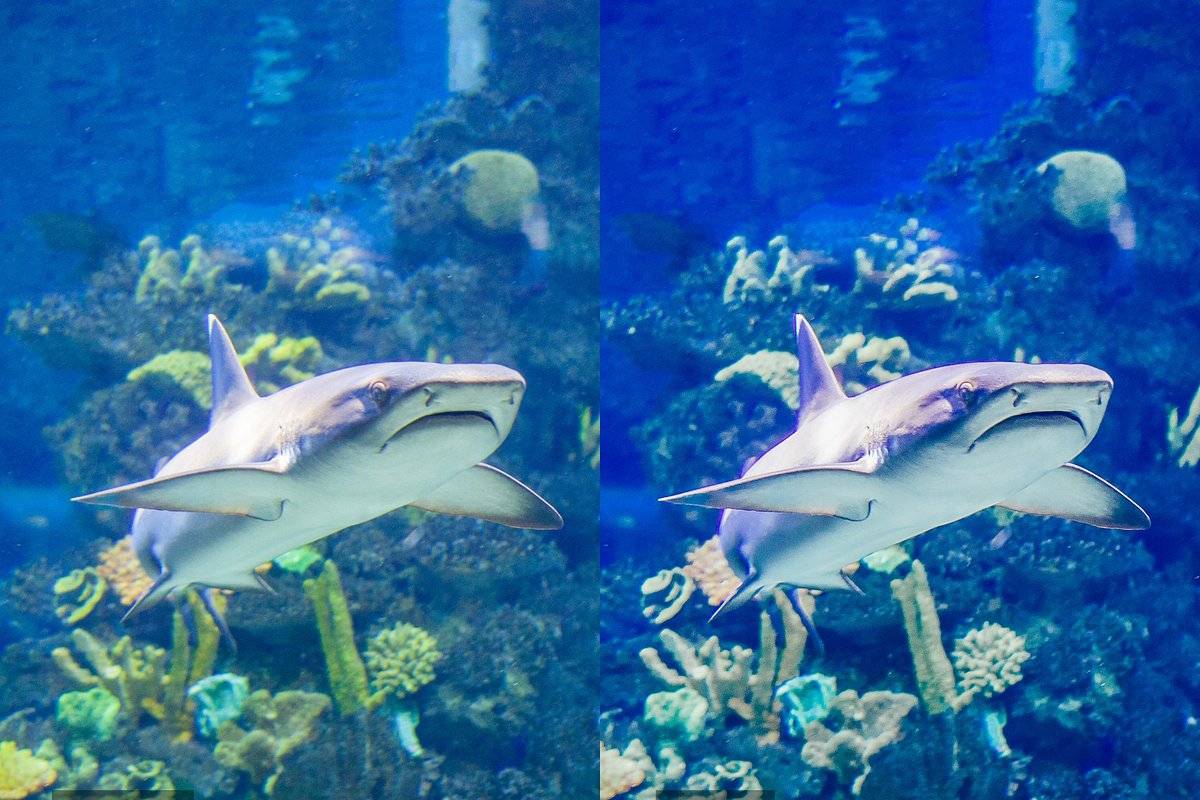 14 Ocean Blue Lightroom Presets, a Preset Add-On by RamsaGraphi (Photo 9 of 10)