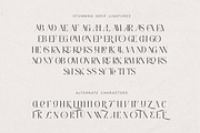Anna Glave - Serif & Script Font Duo, a Serif Font by VP Fonts (Thumbnail 14 of 28)