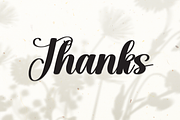 Kayla | Script Font, a Handwritten Font by Scratchones (Thumbnail 9 of 9)