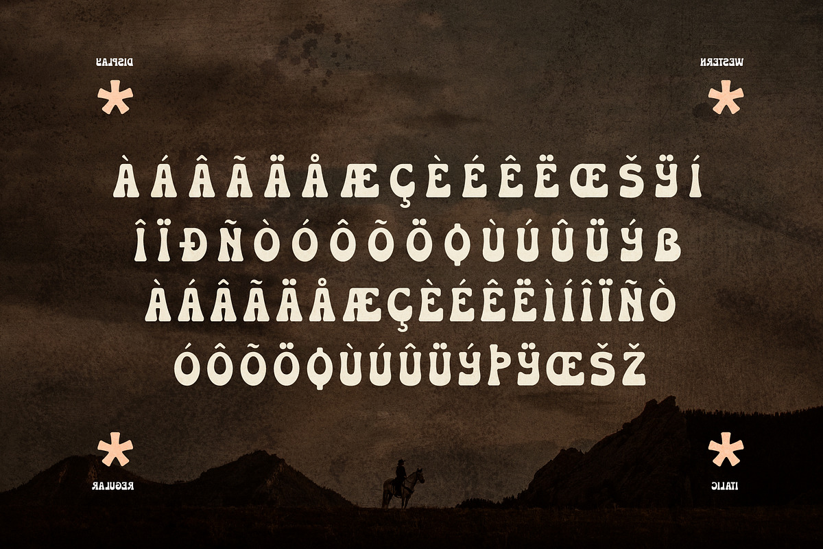 Huston Western Display Font, a Sans Serif Font by Storytype Studio (Photo 14 of 15)