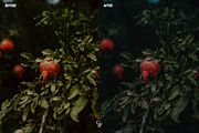 15 Mystical Lightroom Presets, a Preset Add-On by CVR Presets (Thumbnail 6 of 7)