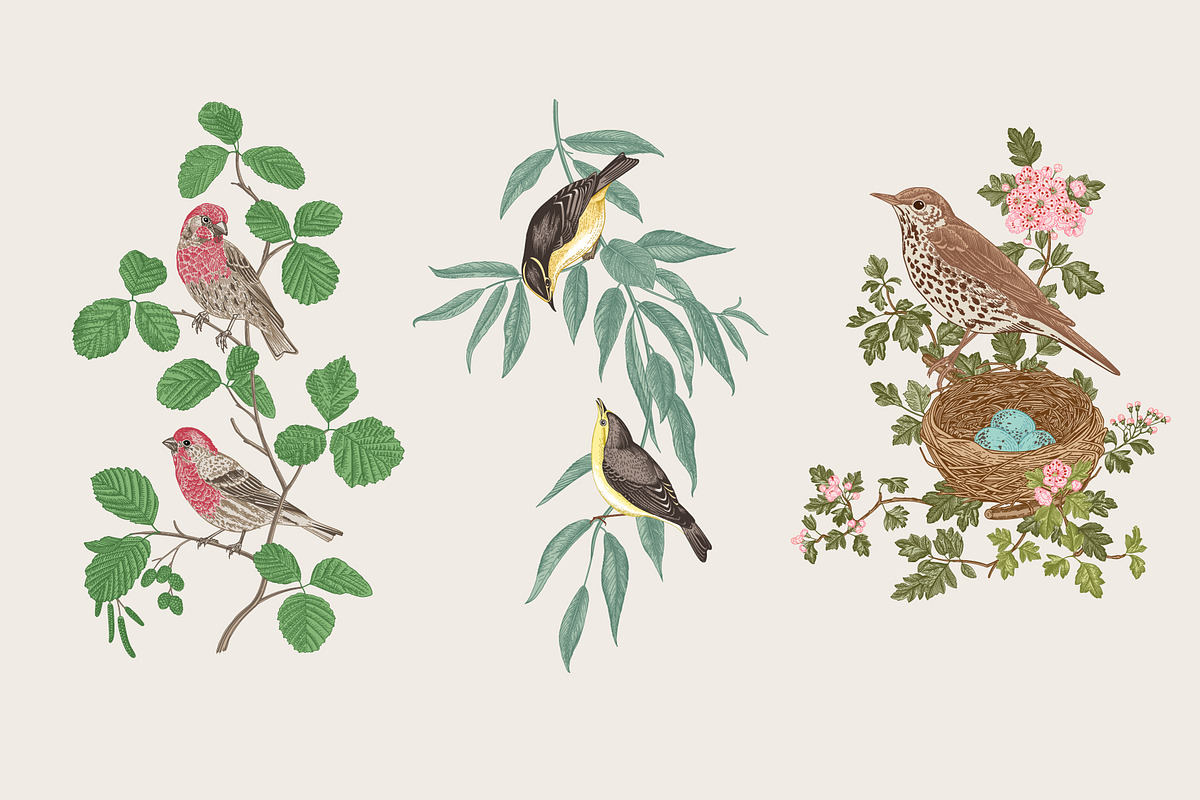 Free Birds, a Decorative Illustration by olga.korneeva (Photo 5 of 11)