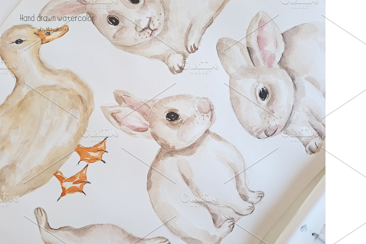 Watercolor Life Cycle Collection, an Education Illustration by MayaNavits (Photo 6 of 15)