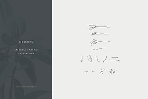 Calligraphy Vectors: Website Words